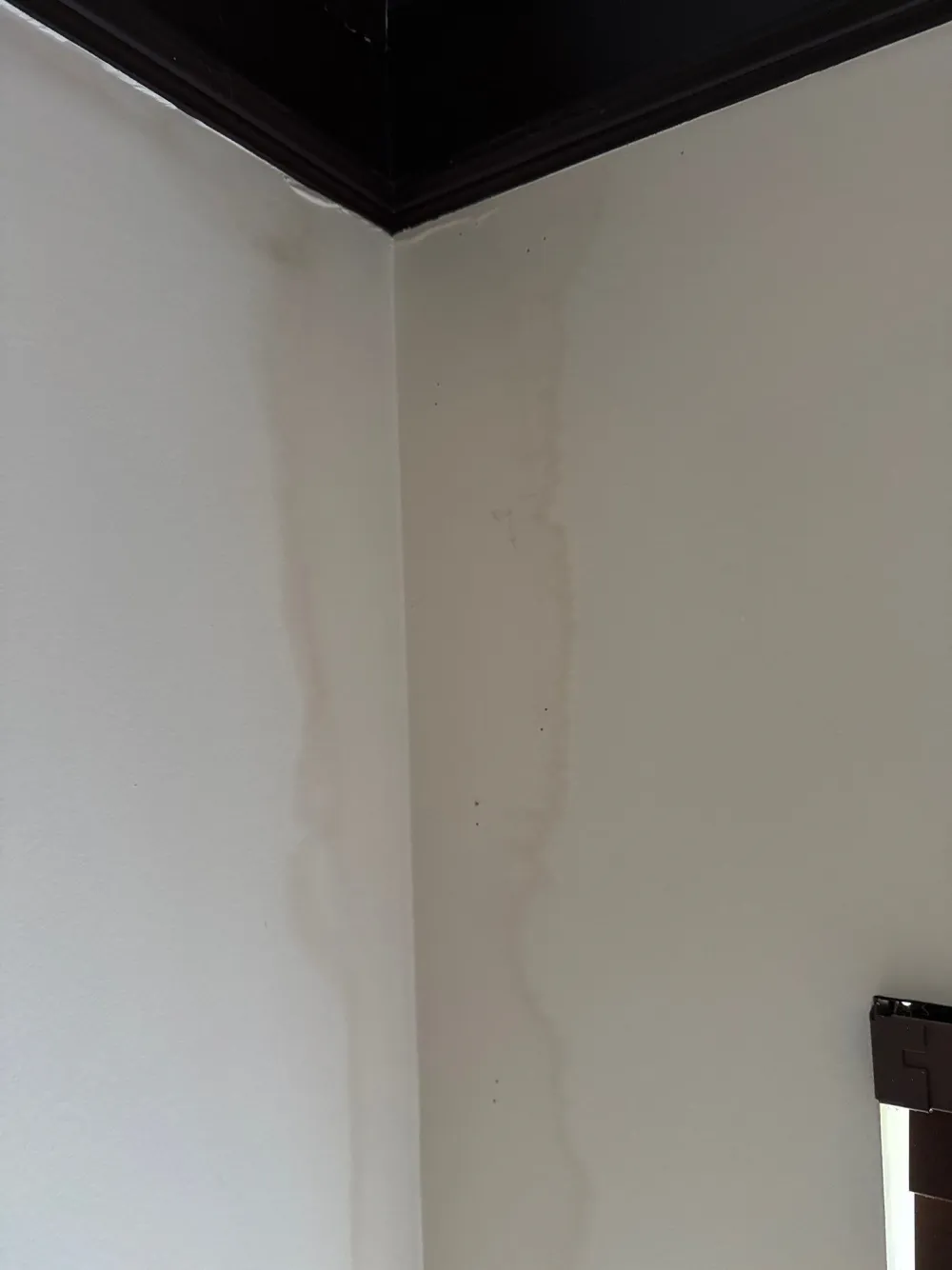 Moisture inspection in Belle Meade, Nashville TN by Renew Restoration
